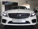 Mercedes-Benz C class C300 AMG 2019 - Bán Mercedes C300 AMG năm sản xuất 2019, màu trắng