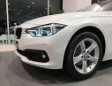 BMW 3 Series 320i 2019 - Bán BMW 3 Series 320i năm 2019, màu trắng