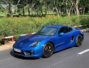 Porsche Cayman 2015 - Bán Porsche Cayman năm sản xuất 2015, màu xanh lam, xe nhập