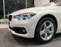 BMW 3 Series  320i 2018 - Bán xe BMW 3 Series 320i năm 2018, màu trắng, xe nhập