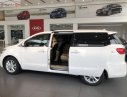 Kia Sedona Platinum G 2019 - Bán Kia Sedona Platinum G đời 2019, màu trắng