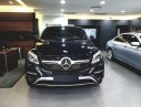 Mercedes-Benz GLE-Class 400 Coupe 2019 - Bán GLE 400 4Matic Coupe đời 2019 siêu hiếm