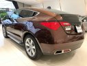 Acura ZDX SH-AWD 2009 - Bán Acura ZDX SH-AWD sản xuất 2009, màu nâu, nhập khẩu