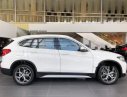 BMW X1   2019 - Bán BMW X1 đời 2019, màu trắng, nhập khẩu  