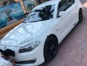 BMW 5 Series 523i 2011 - Bán xe BMW 5 Series 523i sản xuất năm 2011, màu trắng, xe nhập