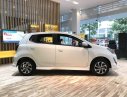 Toyota Wigo  1.2L MT 2019 - Bán Toyota Wigo sản xuất 2019, màu trắng, xe nhập