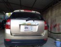 Chevrolet Captiva   2007 - Bán xe Chevrolet Captiva năm 2007, màu vàng, nhập khẩu  