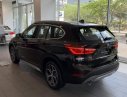 BMW X1   2019 - Cần bán BMW X1 đời 2019, xe nhập, giá tốt