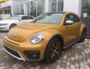 Volkswagen Beetle   2018 - Xe Beetle New Volkswagen Phạm Văn Đồng, sẵn giao xe nhanh, giao xe tận nơi