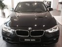 BMW 3 Series  320i   2018 - Cần bán xe BMW 3 Series 320i đời 2018, màu đen, nhập khẩu nguyên chiếc