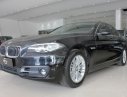 BMW 5 Series 520i 2014 - Bán ô tô BMW 5 Series 520i sản xuất năm 2014, màu đen, nhập khẩu