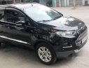 Ford EcoSport  Titanium 2015 - Bán Ford EcoSport Titanium 2015, nhập khẩu, số tự động 