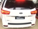 Kia Sedona Luxury D 2019 - Bán ô tô Kia Sedona Luxury D 2019