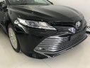 Toyota Camry G 2019 - Toyota Camry 2019: Cập nhật thông tin giá xe Camry G nhập khẩu