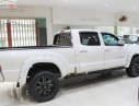 Toyota Tacoma 2014 - Bán Toyota Tacoma sản xuất 2014, màu trắng, hộp số tự động