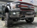 Ford F 150 2019 - Bán ô tô Ford F 150 Harley Davidson 5.0 SX 2019, màu đen mới 100%, LH: 0905098888 - 0982.84.2838