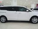 Kia Sedona Platinum D 2019 - Cần bán xe Kia Sedona Platinum D đời 2019, màu trắng