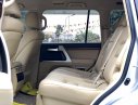 Toyota Land Cruiser   VX 2016 - Bán ô tô Toyota Land Cruiser Land Cruiser VX năm 2016, màu bạc, xe nhập