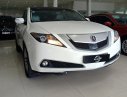 Acura ZDX 4.7 2009 - Bán Acura ZDX 4.7 đời 2009, màu trắng, xe nhập