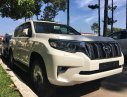 Toyota Land Cruiser Prado VX 2019 - Bán Land Cruiser Prado - đẳng cấp mọi địa hình, xe nhập Nhật, có sẵn giao ngay