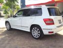 Mercedes-Benz GLK Class 2009 - Bán Mercedes GLK 300 sản xuất 2009