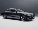 Mercedes-Benz E class E200 Sport 2020 - Giá xe Mercedes E200 Sport, phiên bản Limited 2020, tặng trước bạ, phụ kiện cao cấp