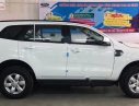 Ford Everest Ambiente 2.0 4x2 MT 2019 - Cần bán xe Ford Everest Ambiente 2.0 4x2 MT năm 2019, màu trắng, nhập khẩu