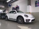 Volkswagen Beetle 2018 - Bán xe Volkswagen Beetle 2018, màu trắng, nhập khẩu