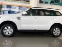 Ford Everest 2019 - Bán ô tô Ford Everest sản xuất năm 2019, màu trắng, nhập khẩu nguyên chiếc