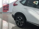 Honda CR V  E 2019 - Bán Honda CR V 2019, màu trắng, nhập khẩu, 983tr