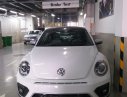 Volkswagen Beetle 2018 - Bán xe Volkswagen Beetle 2018, màu trắng, nhập khẩu