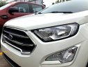Ford EcoSport Titanium 1.5L 2019 - Bán xe Ford EcoSport Titanium 1.5L đời 2019, màu trắng, giá chỉ 600 triệu