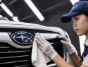 Subaru Forester   2019 - Cần bán xe Subaru Forester sản xuất năm 2019, thương hiệu Nhật Bản nỗi tiếng trong giới xe đua