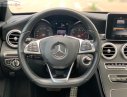 Mercedes-Benz C class C250 2015 - Bán xe Mercedes C250 năm 2015, màu đen, xe nhập