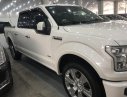 Ford F 150 2016 - Bán Ford F150 đời 2017, màu trắng, xe nhập