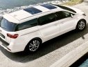 Kia Sedona 2019 - Kia Biên Hòa bán xe Sedona 2019 máy xăng bản full option, hỗ trợ trả góp các ngân hàng, L/H 0933755485