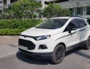 Ford EcoSport Black Edition 2017 - Bán EcoSport Black Edition 2017 - 530tr