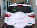 Ford EcoSport 2017 - Cần bán xe Ford EcoSport đời 2017, màu trắng chính chủ