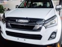 Isuzu Dmax 1.9L  2019 - Bán xe Isuzu Dmax 1.9L sản xuất năm 2018, số tay, máy xăng, màu bạc, nội thất màu đen