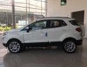 Ford EcoSport Titanium 1.5L AT 2019 - Cần bán xe Ford EcoSport Titanium 1.5L AT sản xuất 2019, màu trắng