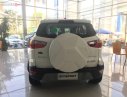 Ford EcoSport Titanium 1.5L AT 2019 - Cần bán xe Ford EcoSport Titanium 1.5L AT sản xuất 2019, màu trắng