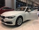 BMW 3 Series  320i 2018 - Bán BMW 3 Series 320i 2018, màu trắng, nhập khẩu nguyên chiếc