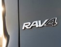 Toyota RAV4 Limited  2019 - Giao ngay Toyota Rav4 Limited 2020, mới 100%, nhập Mỹ - 0931518888