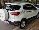 Ford EcoSport Titanium 1.5P AT 2017 - Bán Ford EcoSport Titanium 1.5P AT 2017, màu trắng, giá 521tr. Liên hệ chính chủ 0702020707