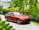 BMW 3 Series 320i 2018 - Bán ô tô BMW 3 Series 320i đời 2018, màu đỏ, xe nhập