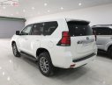 Toyota Land Cruiser Prado VX 2.7L 2019 - Bán Toyota Land Cruiser Prado VX 2.7L đời 2019, màu trắng, nhập khẩu