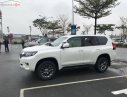 Toyota Land Cruiser Prado VX 2.7L 2019 - Bán Toyota Land Cruiser Prado VX 2.7L đời 2019, màu trắng, nhập khẩu