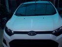 Ford EcoSport  Titanium  2017 - Bán Ford Ecosport Titanium đời 2017, màu trắng, giá 570tr
