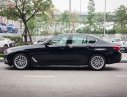 BMW 5 Series 530i Luxury Line 2019 - Bán BMW 530i Luxury Line 2019, màu đen, nhập khẩu