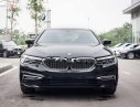 BMW 5 Series 530i Luxury Line 2019 - Bán BMW 530i Luxury Line 2019, màu đen, nhập khẩu